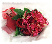 Click for a Large View