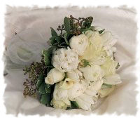 Click for a Large View