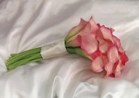 Click for a Large View