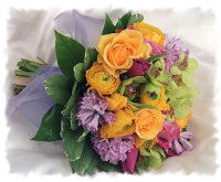 Click for a Large View