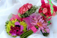 Click for a Large View