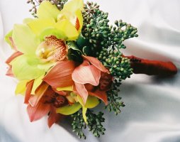 Click for a Large View